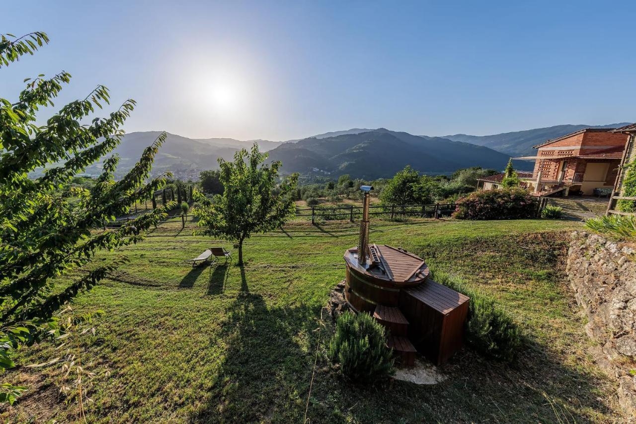 Agriturismo La Fontaccia 루피나 외부 사진