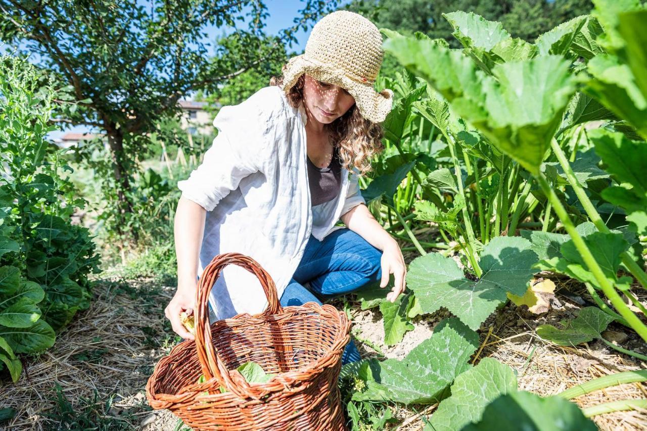 Agriturismo La Fontaccia 루피나 외부 사진