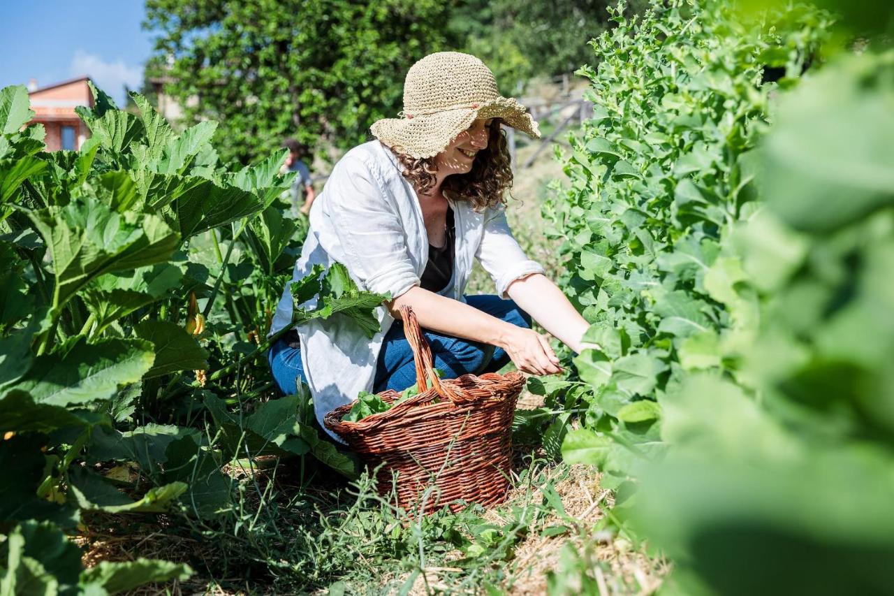 루피나 Agriturismo La Fontaccia 빌라 외부 사진