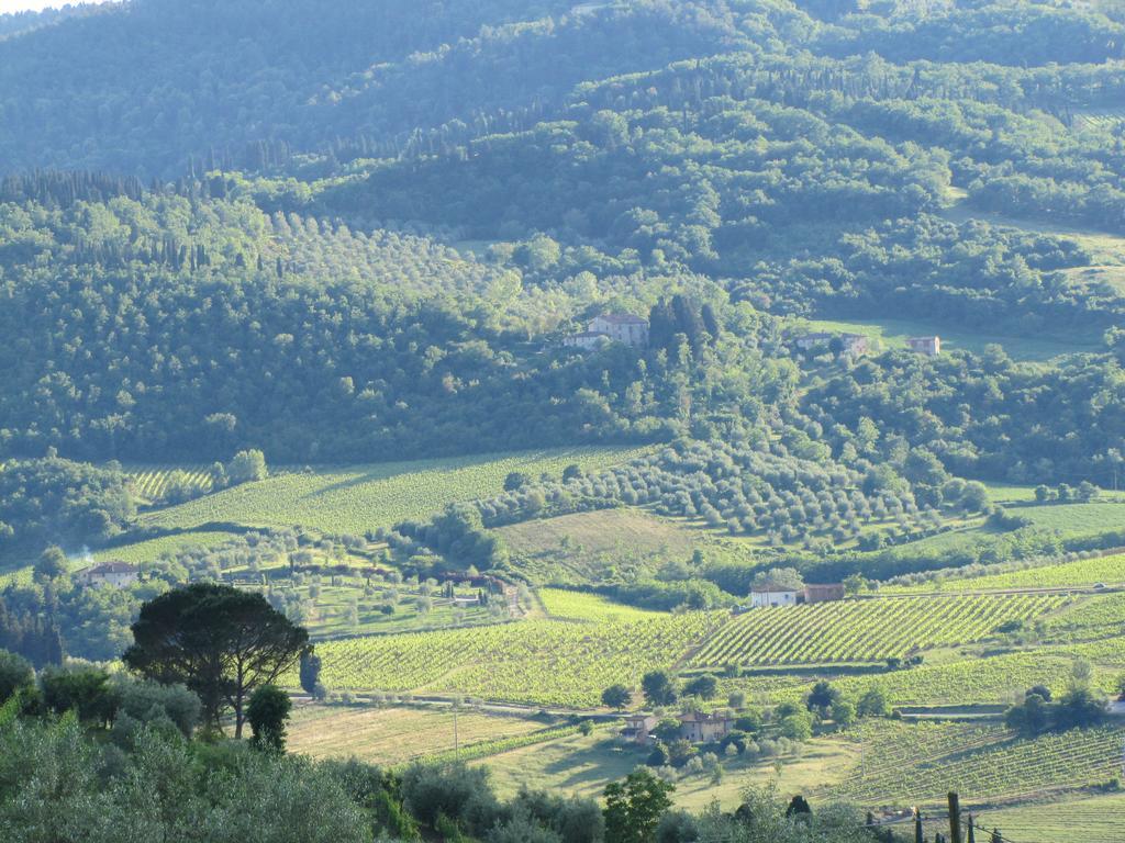 Agriturismo La Fontaccia 루피나 외부 사진