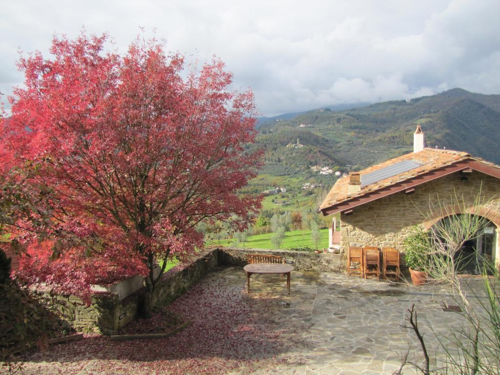 Agriturismo La Fontaccia 루피나 외부 사진