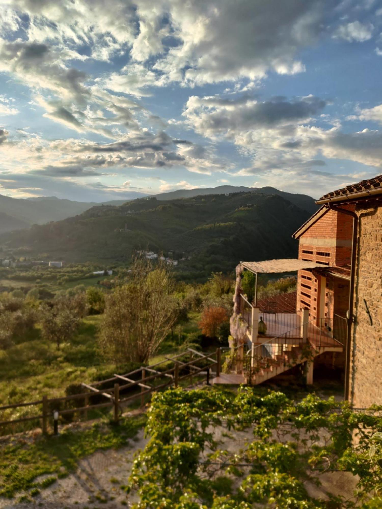 Agriturismo La Fontaccia 루피나 외부 사진
