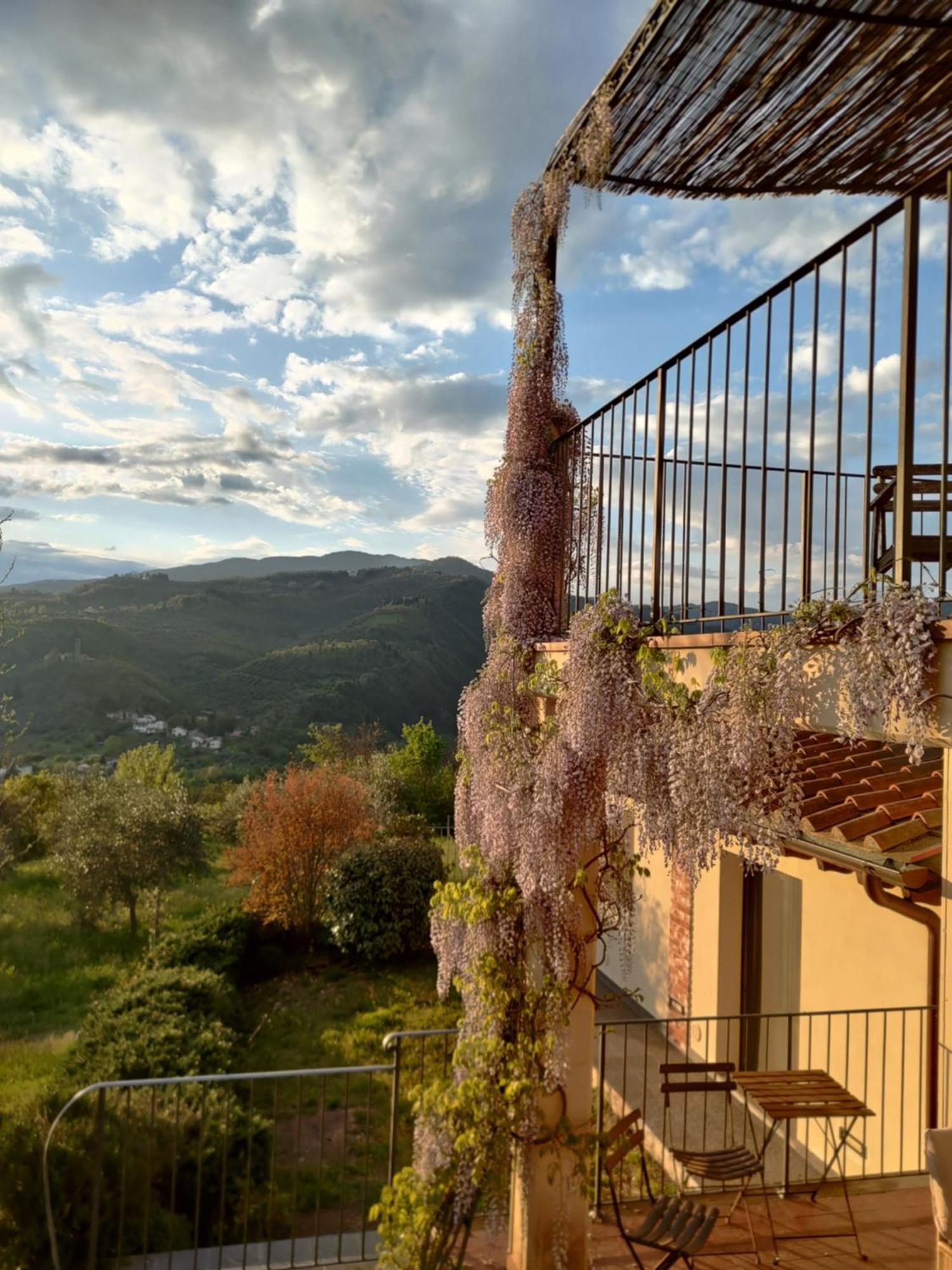 Agriturismo La Fontaccia 루피나 외부 사진