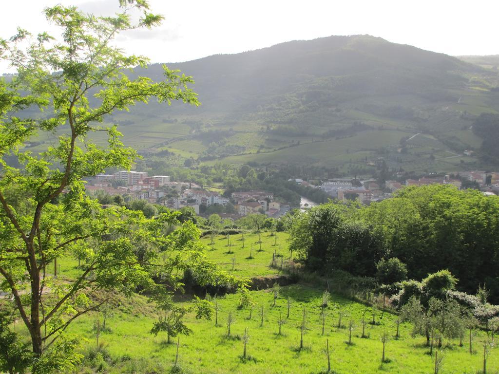 Agriturismo La Fontaccia 루피나 외부 사진