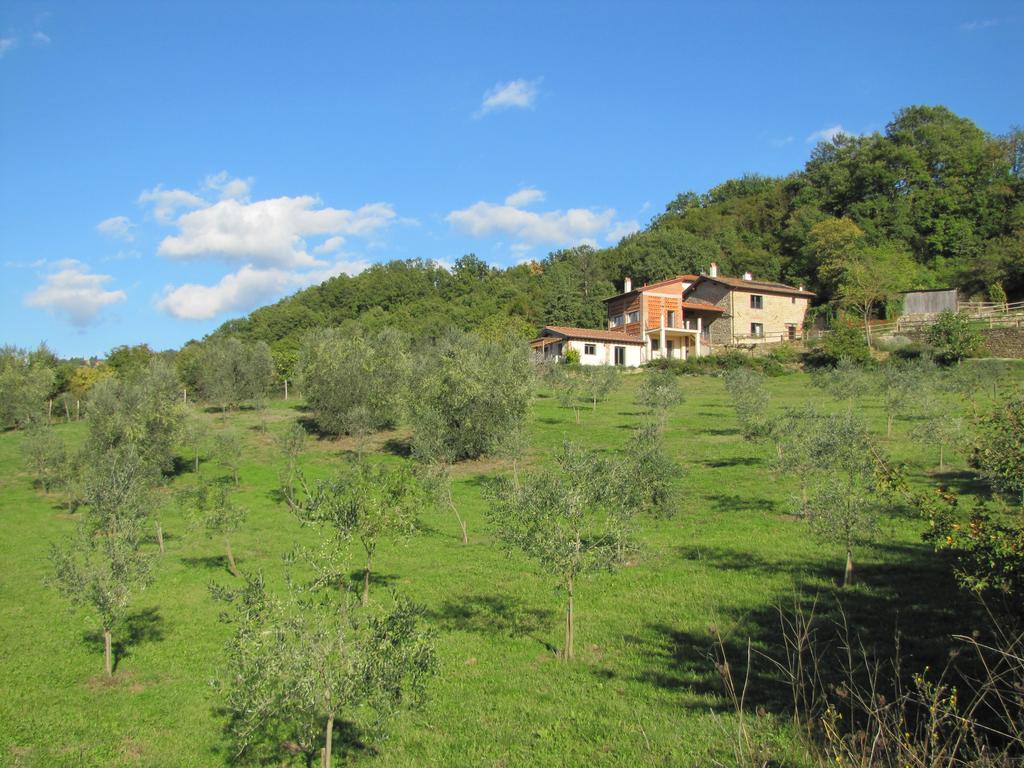 Agriturismo La Fontaccia 루피나 외부 사진