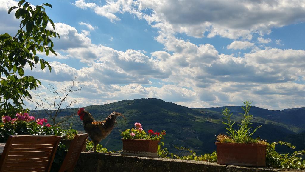 Agriturismo La Fontaccia 루피나 외부 사진