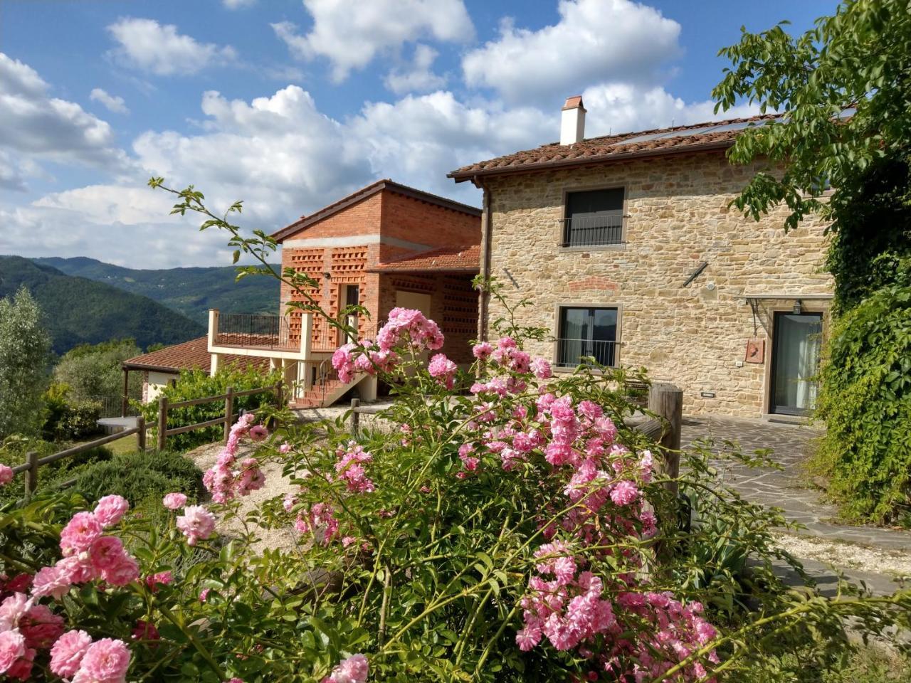 Agriturismo La Fontaccia 루피나 외부 사진